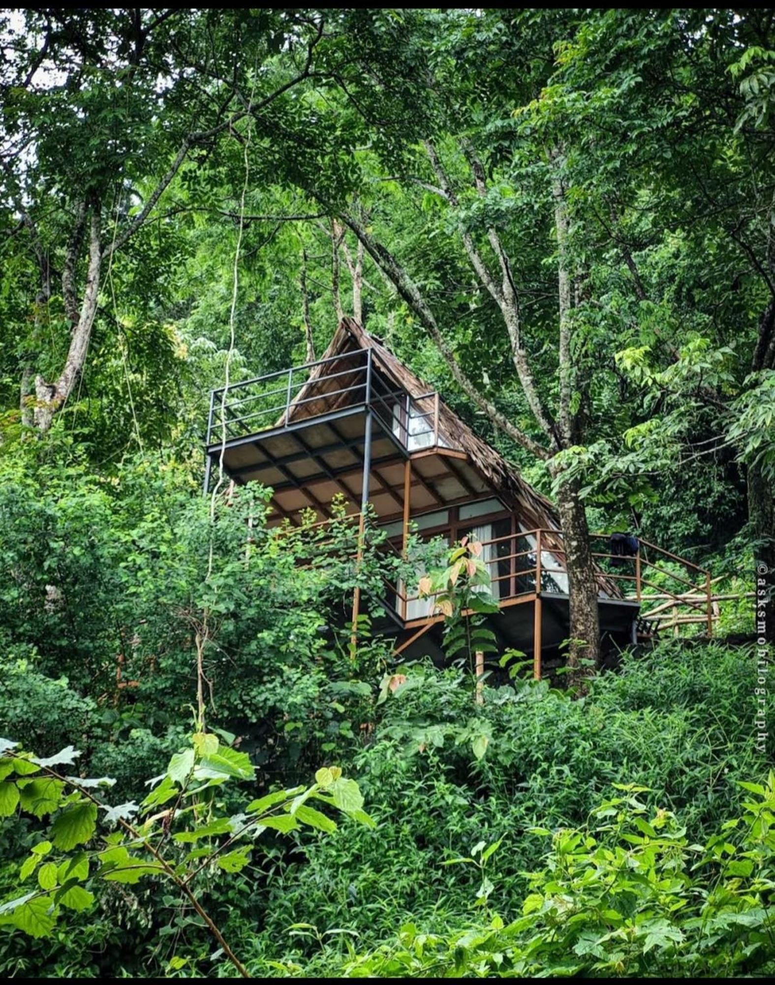 Sunset Valley Kerala Pool Resort - Monsoon Forest Cottage Stay In Idukki With Private Waterfalls, Natural Streams & Breathtaking Views Pīrmed المظهر الخارجي الصورة