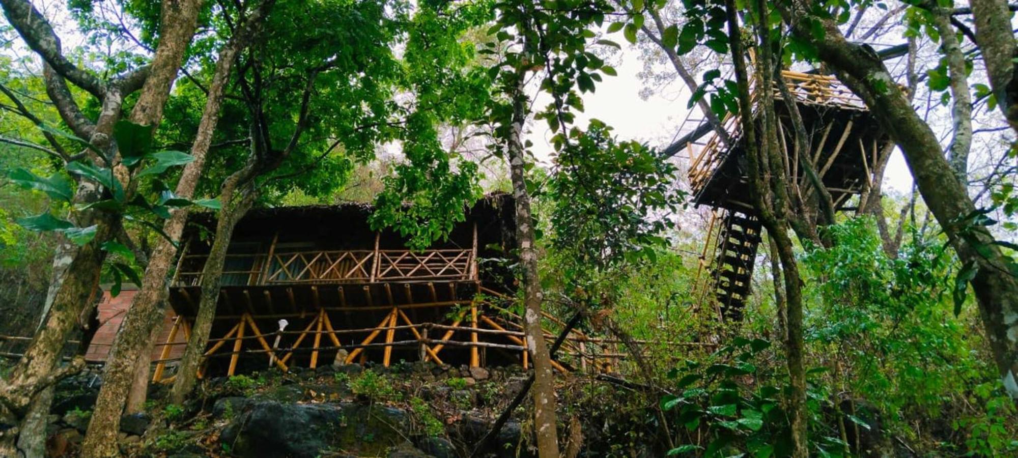 Sunset Valley Kerala Pool Resort - Serene Natural Forest Cottage Stay In Idukki With Sunrise & Sunset Panoramas, Natural Streams & Tranquil Summer Evenings Pīrmed المظهر الخارجي الصورة