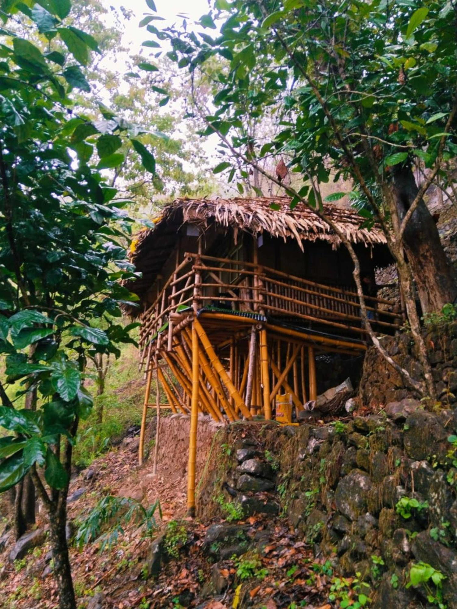 Sunset Valley Kerala Pool Resort - Serene Natural Forest Cottage Stay In Idukki With Sunrise & Sunset Panoramas, Natural Streams & Tranquil Summer Evenings Pīrmed المظهر الخارجي الصورة